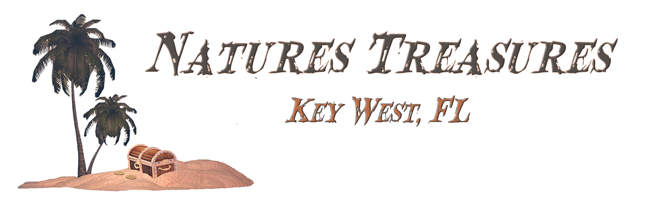 Natures Treasures